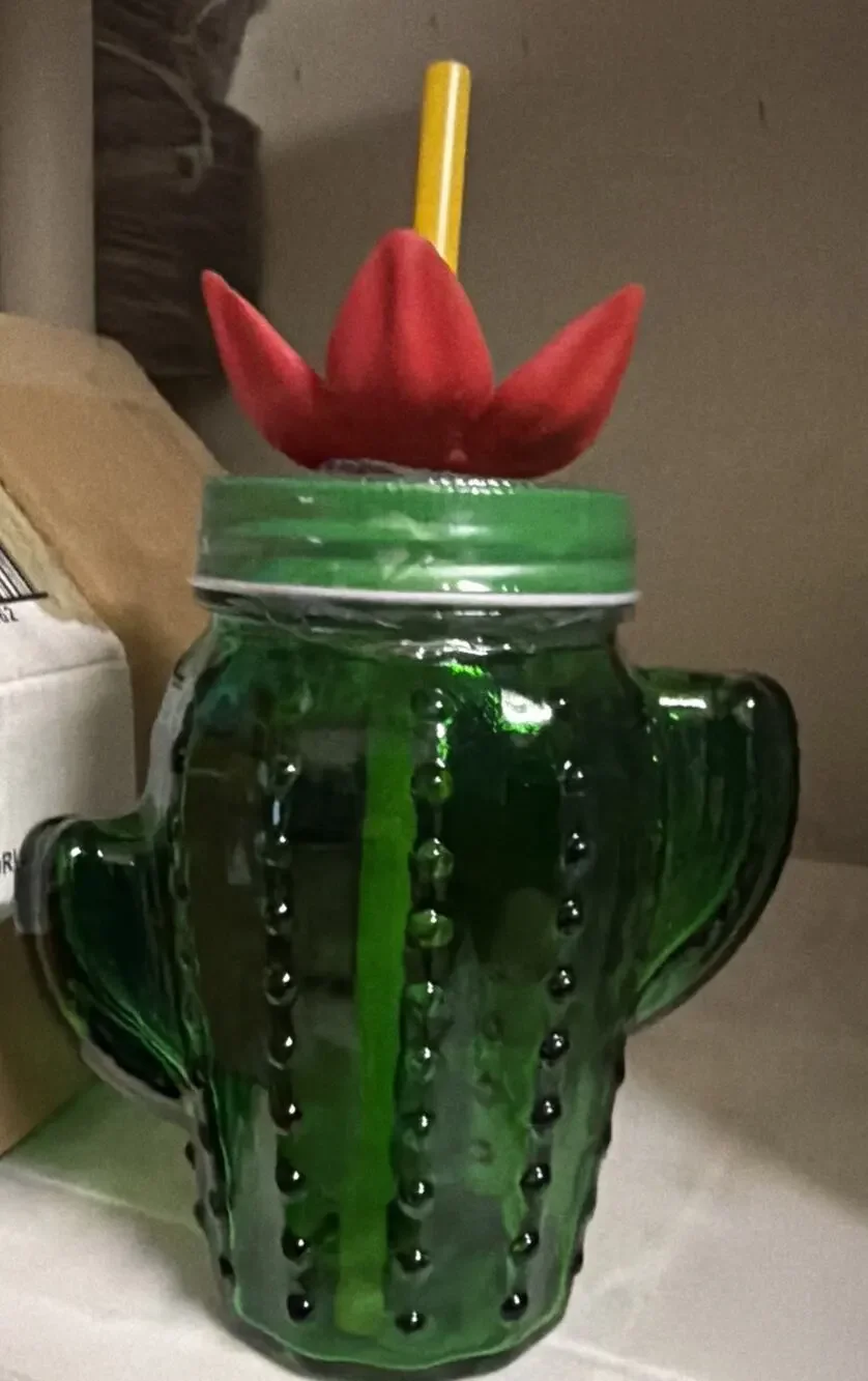 Target Bullseye Playground Green Glass Cactus Tumbler Mason Jar Cup with Flower